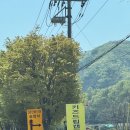 충북보은 캠핑장 키즈드림오토캠핑장 내돈내산 후기 캠핑음식추천