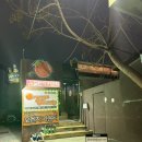 오렌지카운티 | 대구 대봉동술집 2차로 가기 좋은 신청곡 틀어주는 오렌지카운티