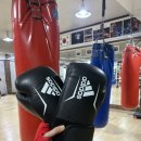 박창환 복싱클럽 | 왕십리복싱, 꿀잼보장 복싱다이어트 추천 박창환복싱클럽 한양대점