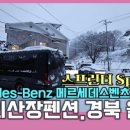 울진 숲속에 산장 펜션 이미지