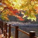 백양사진입로 이미지