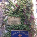 구교협동조합 | 20191026. 부산소정교회 장년부 대구골목투어 및 선교유적지 탐방