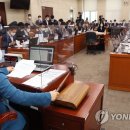 서영교 카카오 검색결과