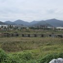 더블유비알 네이버블로그