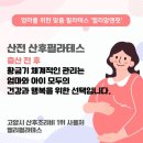 리드앤톡고양지축센터 | 삼송임산부필라테스 시기별 산전·산후 필라테스 꼭 필요한 이유