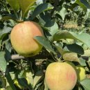 주용농장 이미지