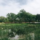 소풍정원1 이미지