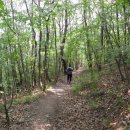 구만산장 이미지