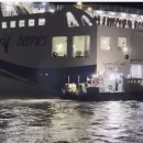 신안센터-16 이미지