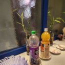 디바 | 뷰가좋은 종로사주카페 타로카페디바 후기