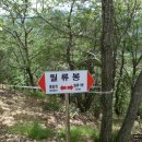 산드레 티스토리