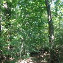 조전2리 이미지