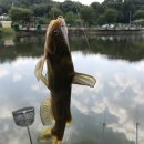 삼화리낚시터 이미지