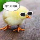 투어테일러 - 청주시 청원구 중심상업로 32-13 | 투어테일러