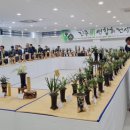 한국춘란 전시회 이미지