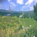 민수민수 이미지