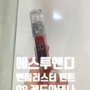 에스투엔디 딸랑이틴트 엔들러스터 틴트 - 09레드아테나