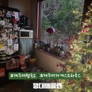 세븐일레븐 상주점 | 제주도 여행 구좌 구옥감성 게스트하우스 '평대베를린' (여성전용,고양이상주)