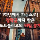 디자인메릿