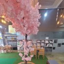 안경백화점 터미널점 이미지