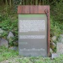 ①경상북도 경주시 양북면 안동리 "골굴사(骨崫寺)" 와 "장항리(獐項里), 숭복(崇福)사지(寺址) " - 2024.07.28 이미지