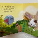 그림책 꼼지락 이미지