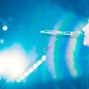 미스터칠드런(Mr.children)