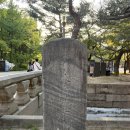 영지유치원 | 야경 투어] 바른역사 해설투어 ‘소풍’ 내돈내산 후기 - 고영란 해설사님 진짜 최고 / 덕수궁 주차 꿀팁