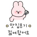 혜미복집 네이버블로그