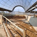 한우축사 이미지