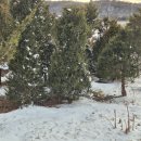 가우디농장 이미지