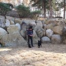 박순호의 아이슬란드 이미지