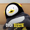 대형애견 네이버블로그