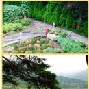 더옐로우펜션 이미지