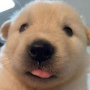 낭만스테이 이미지