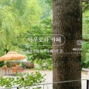아우로라