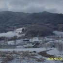 송이숲민박