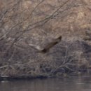 하대동325 | 가변하는 상황과 예상치 못한 새들의 발견.