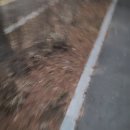밥 함께해