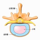 디스크잼