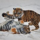 갤러리관악 이미지