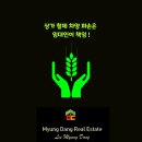 용산양지공인중개사사무소 이미지