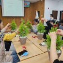 강원도 생화 크리스마스트리 만들기 출강 후기 직원 연말 프로그램 추천