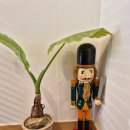 목림 | 담양브런치카페 목림 솔직후기