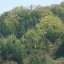 세중초등학교 이미지