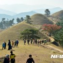 대가야센터-7 이미지