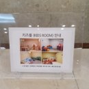 금호리조트사우나 | [강원/속초] 속초여행 콘도추천! 금호설악리조트 휴그린스위트 2박 3일 숙박후기 🏨