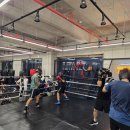 성남다목적체육관 앞 이미지