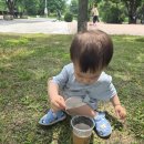 에이포텐트