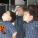 대한민국만세 - 안성시 | 대한민국만세